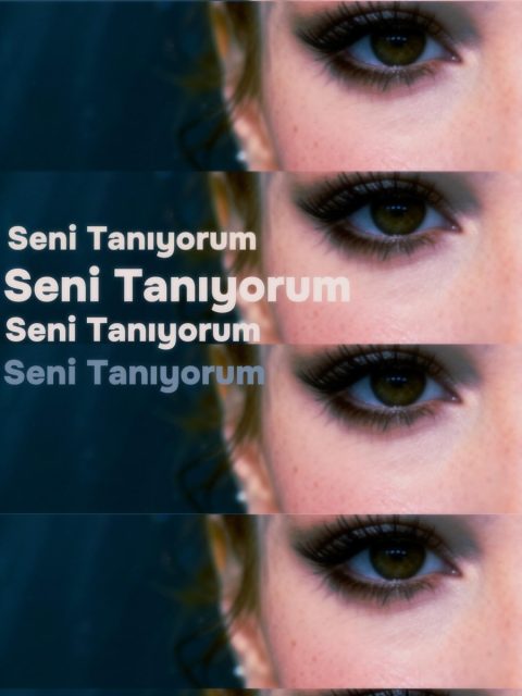 Seni Tanıyorum