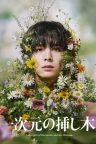 Labyrinth of Hortensia and the Minotaur