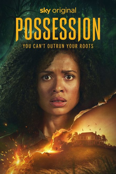Possession afişi