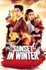 Sunset in Winter