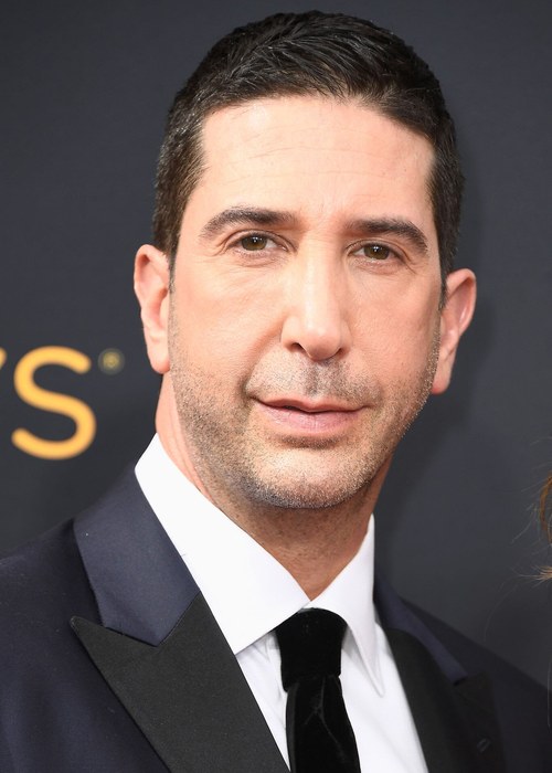 David Schwimmer