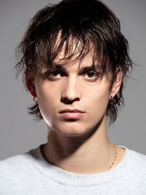 Merlin von Garnier