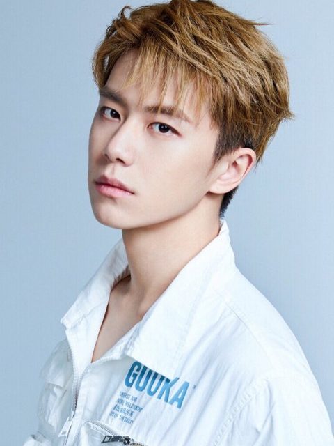 Pan Lu Yu