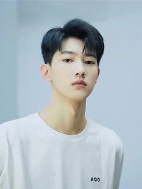 Wu Jiakai
